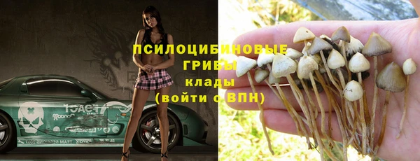 тгк Аркадак