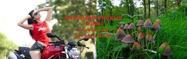крисы Балабаново