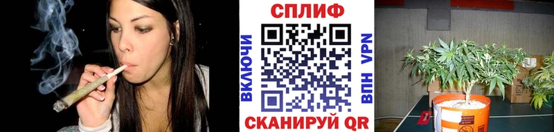 Конопля White Widow  Купить где  Соликамск 